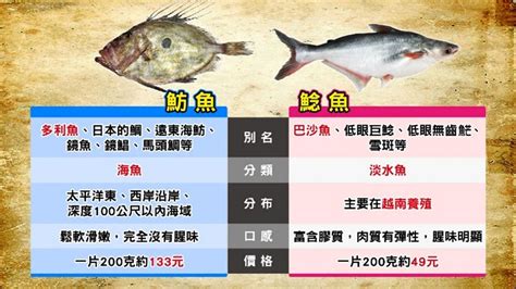 什麼魚|鱈魚不是鱈魚？多利魚也不是多利魚？所以你到底吃了。